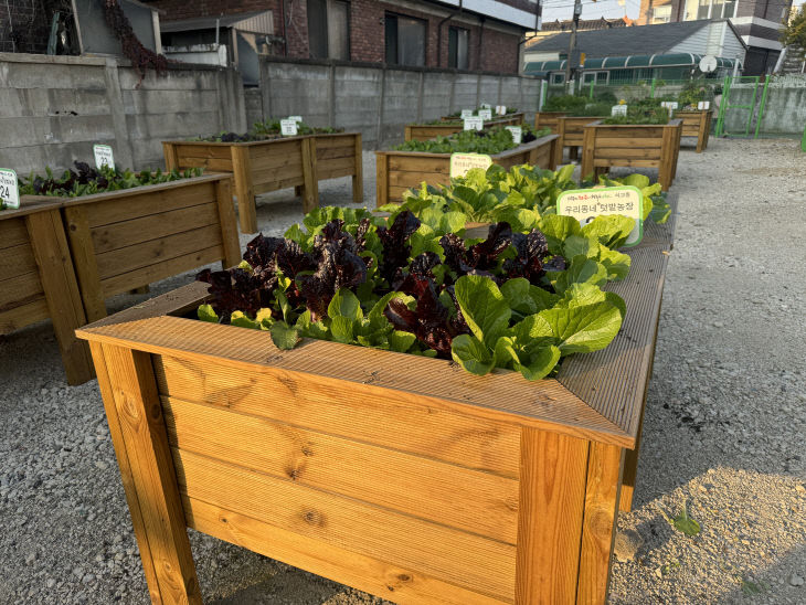 석교동 텃밭농장