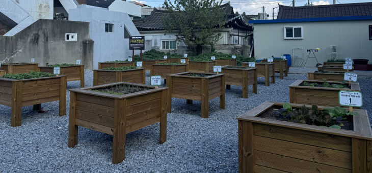 탑동 텃밭농장3