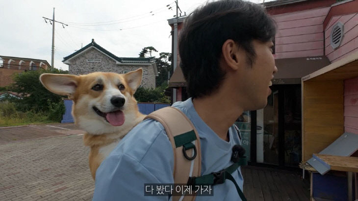 반려동물 동반여행 공모전