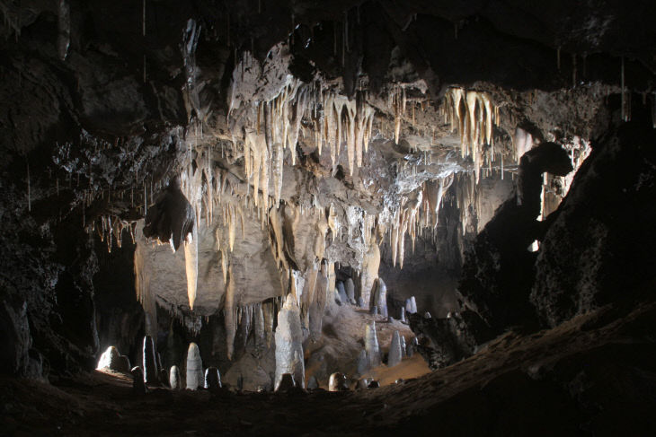 보도 1) 온달동굴(2)