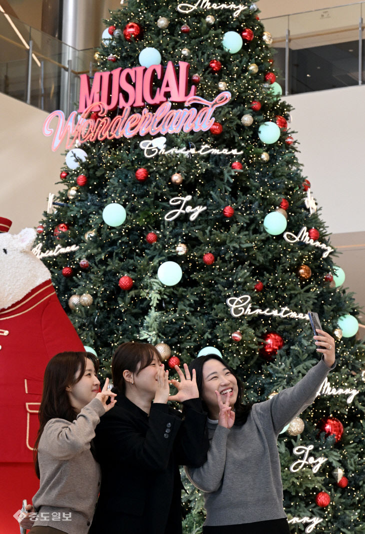 20251118-크리스마스 트리
