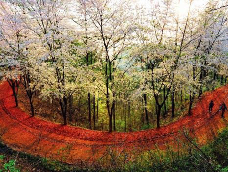 2025050501000190600009501