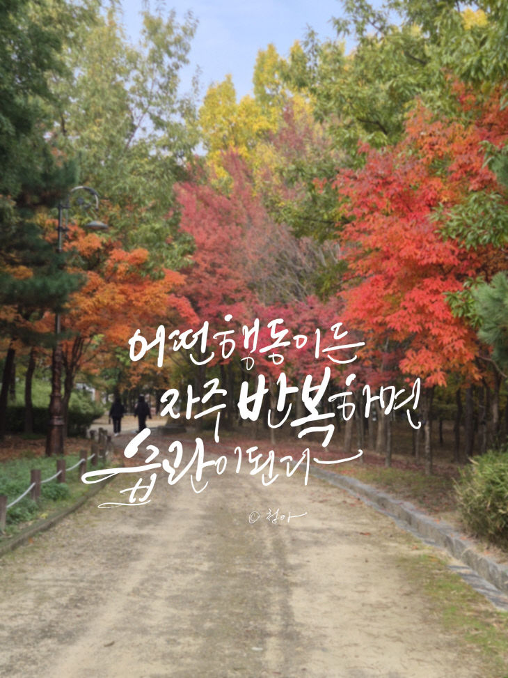 KakaoTalk_20251111_122406932