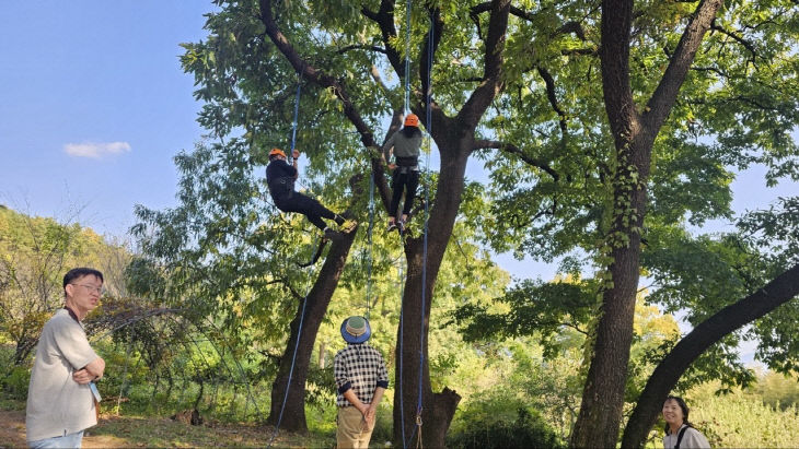 KakaoTalk_20251114_140521463_01