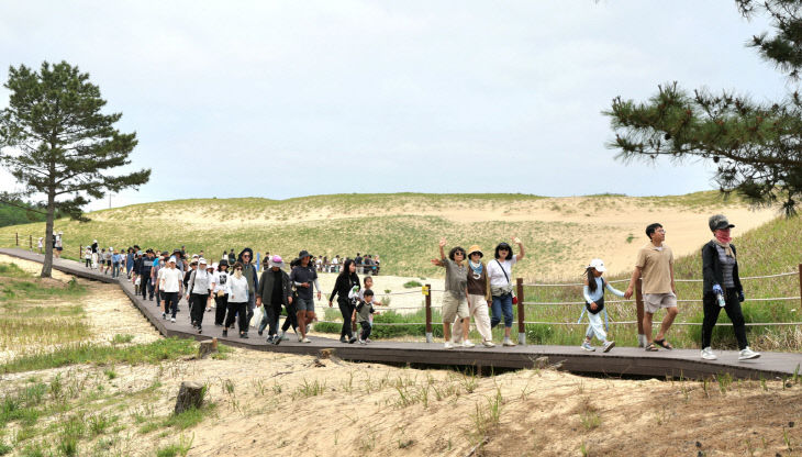 2. 태안방문의 해 방문객 증가 5(250607 대한민국 사구축제)
