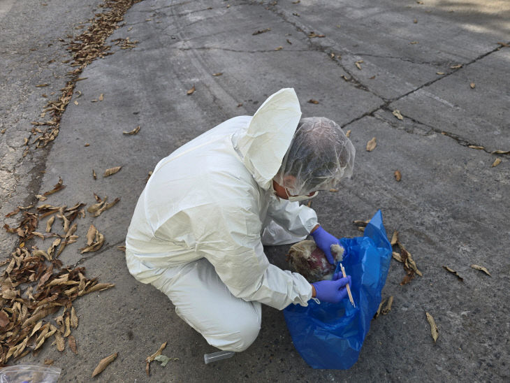 사진1－1(시료채취)
