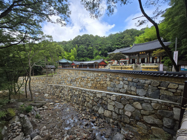 홍룡사 대웅전 석축정비 현장