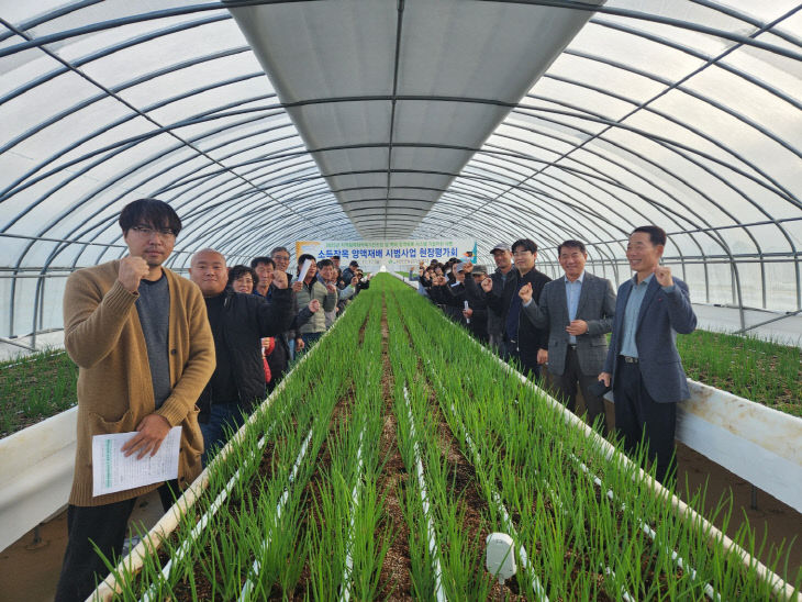 서천군이 개최한 쪽파 양액재배 시범사업 평가회