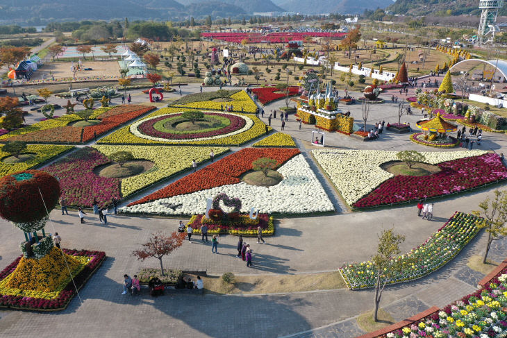 2025 양산국화축제(주간)