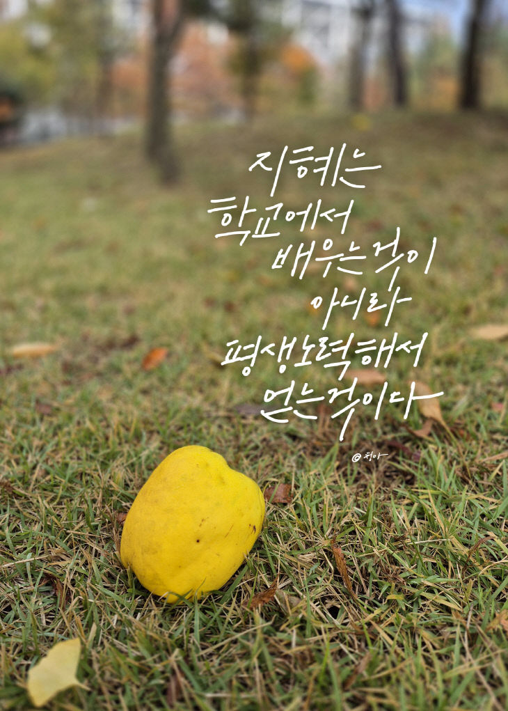 KakaoTalk_20251113_092624911