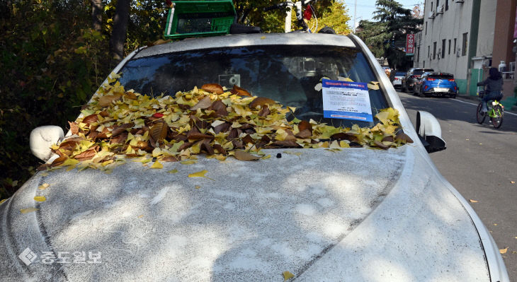 20251120-주택재건축 부지 내 차량 방치2