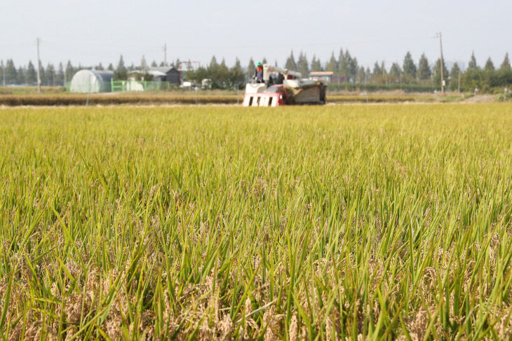청주시, 청원생명쌀 계약재배 신청 접수