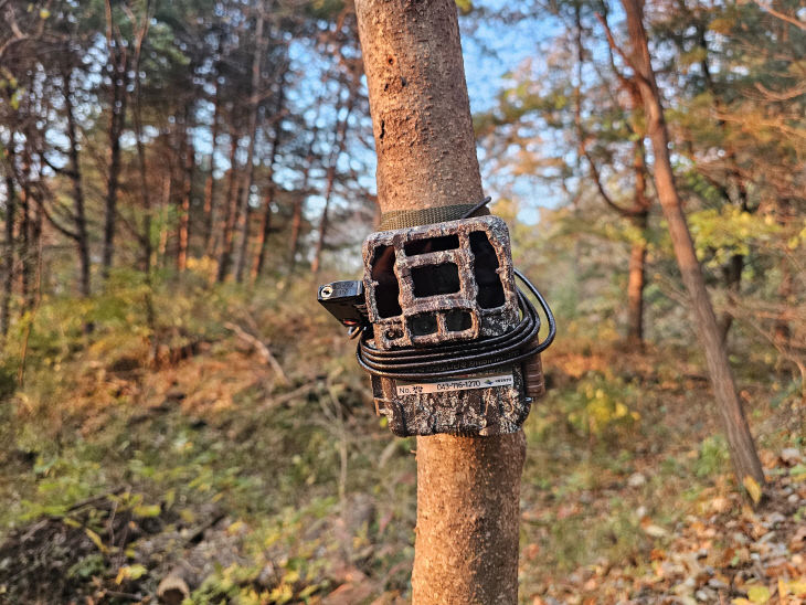 청남대, 야생동물카메라 설치 1