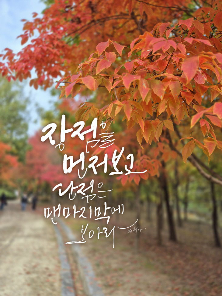 KakaoTalk_20251113_093003855