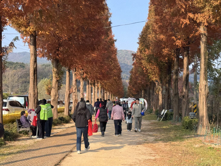 9.덕산온천 명상치유숲길 황토 둘레길 걷기 행사 모습 (2)