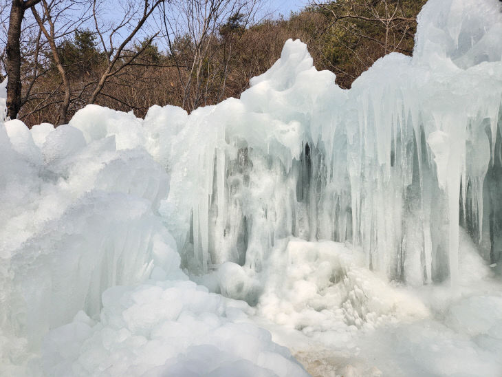얼음 동산