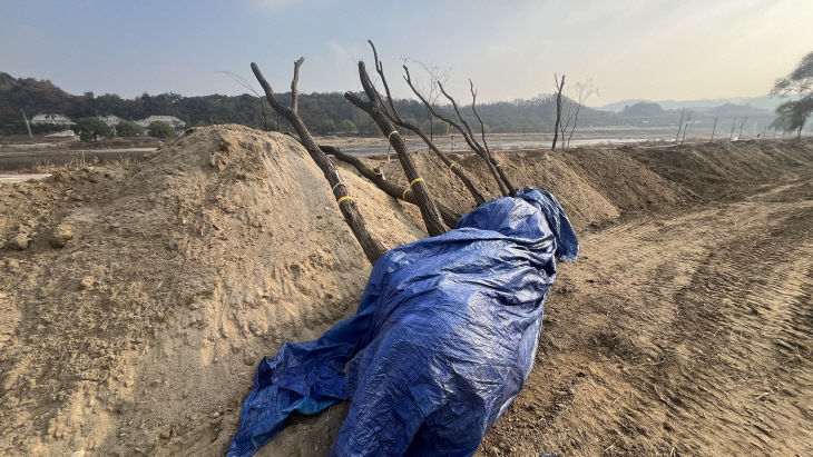 KakaoTalk_20251124_153128761_10