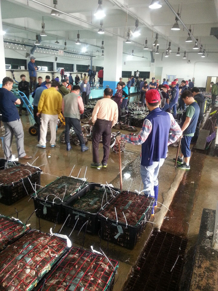 KakaoTalk_20251117_092227432