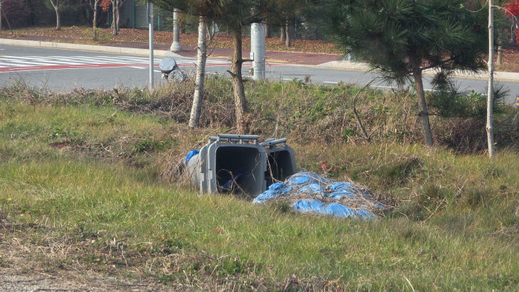 KakaoTalk_20251125_111255875_02