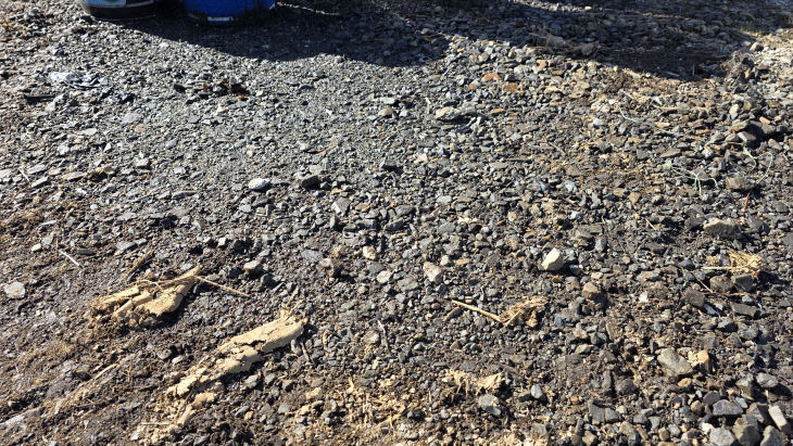 KakaoTalk_20251125_111255875_08