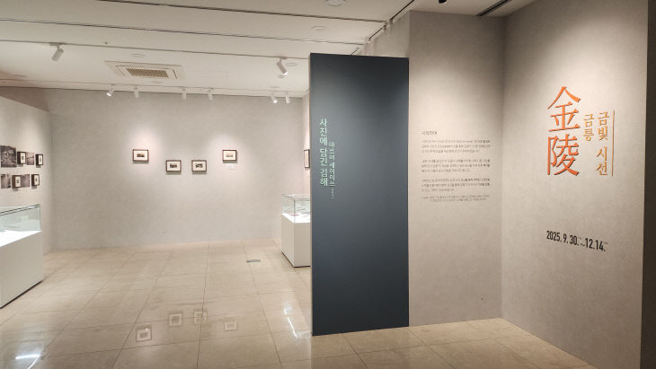 11.25 김해시 정례브리진