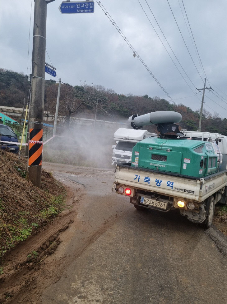 KakaoTalk_20251125_154819476