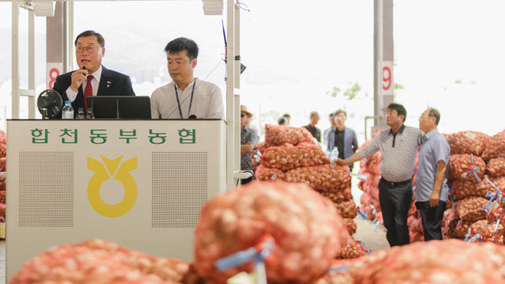 합천동부농협건마늘 초매식