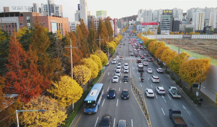 1. 공원녹지과-2(가로수길)