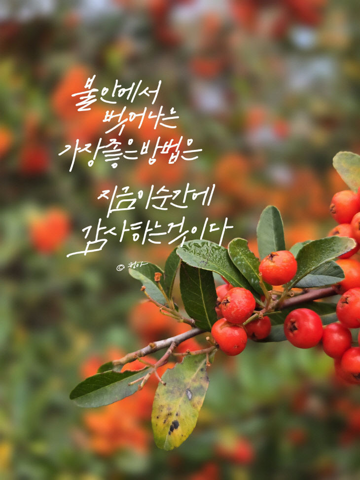 KakaoTalk_20251119_124916174