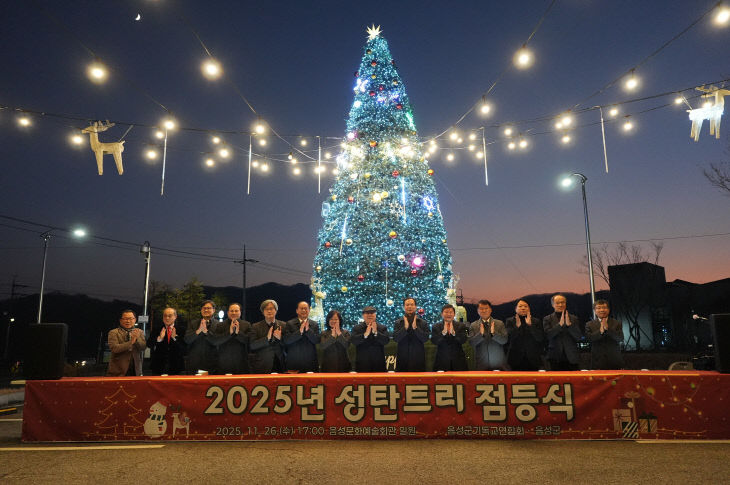 5_음성군, 음성문화예술회관에 성탄 트리 점등(1)