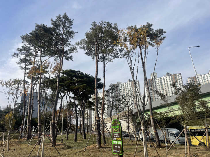 청주시, 도시숲 조성 2곳 완료… 열섬완화 미세먼지 저감 기대.