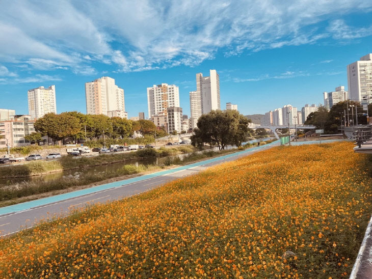 (기획)의정부시, 우리동네 정책로드맵 ‘신곡1동편’ 중랑천 황