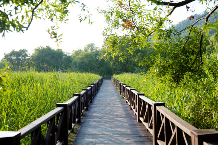 광주호호수생태원