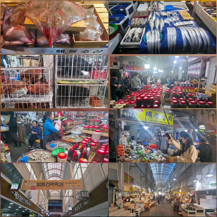 KakaoTalk_20251130_093806883