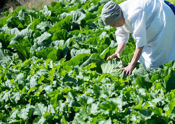 제76호 오숙자명인_(반지) 국문도서_page4_image