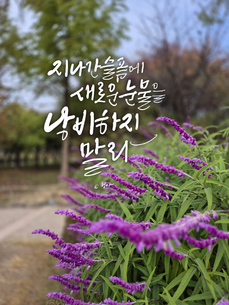 KakaoTalk_20251124_074715397