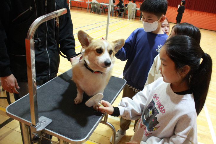 청양 합천초 진로 체험
