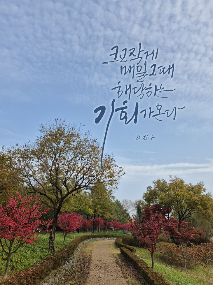 KakaoTalk_20251124_074800523