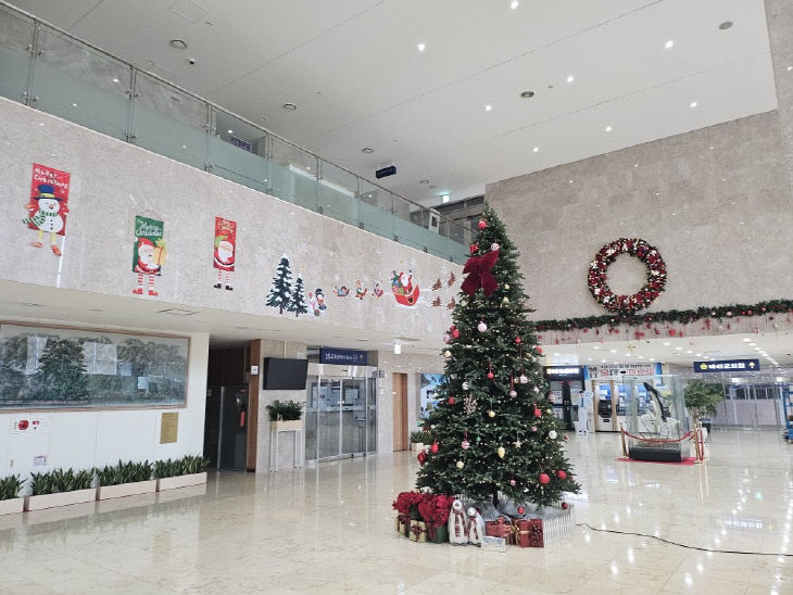 3.예산군청사 크리스마스 트리 모습