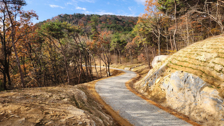 산청군 신안면 갈전리 간선임도 (1)