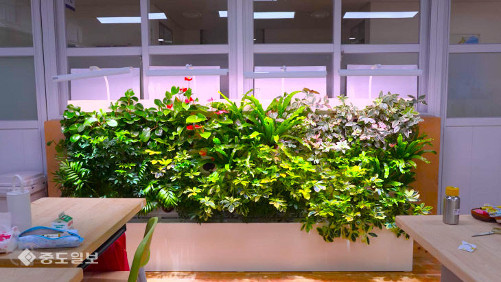 626_0731.00_04_08_41.스틸 005