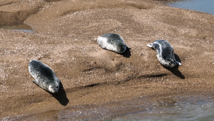 2024060401000220000008441