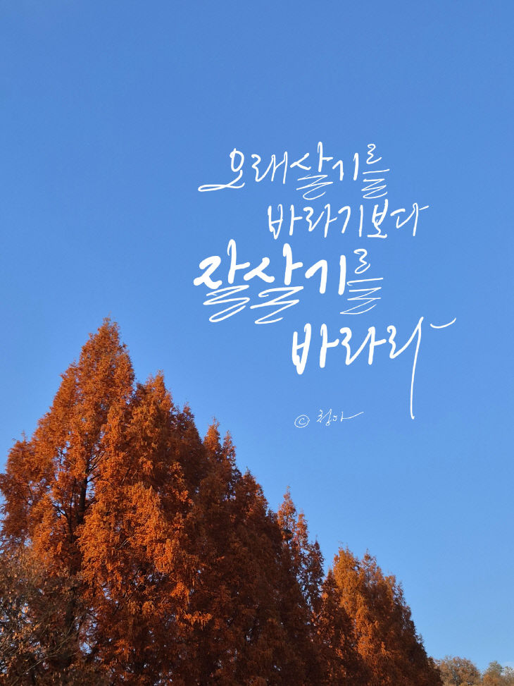 KakaoTalk_20251125_094455432