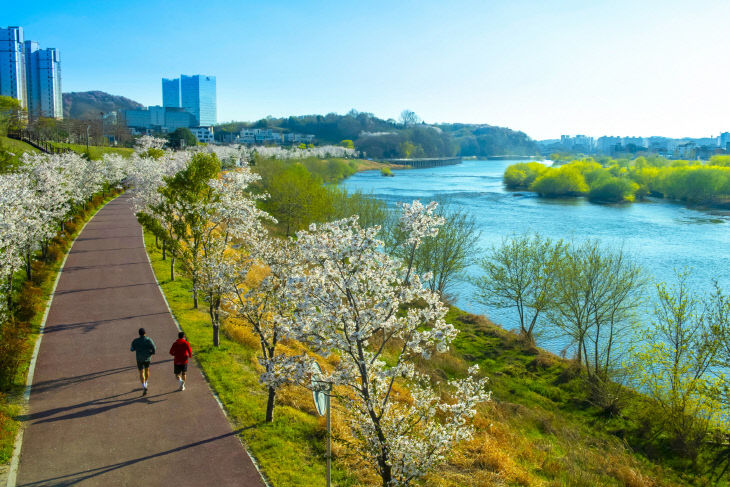 금상 임정희 진주남강 꽃길