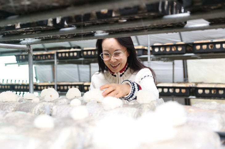 하동군 하동농부노루궁뎅이버섯이먼트)