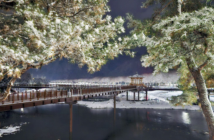 에코브릿지가 설경 속에서 모습을 드러냈다.