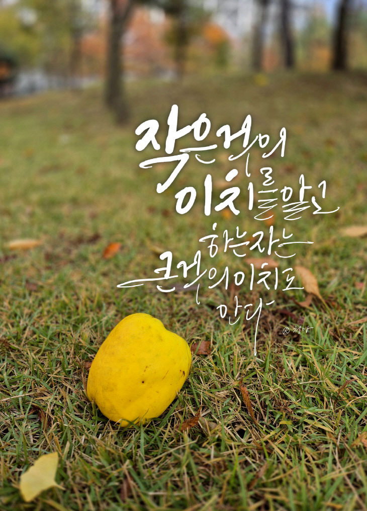 KakaoTalk_20251126_104418814