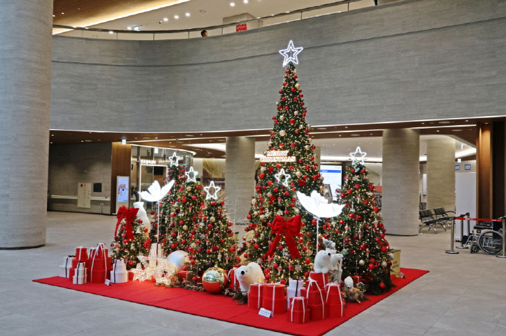 순천향대천안병원 크리스마스트리(2)