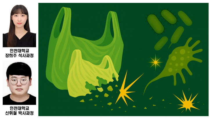 자원화·에너지화