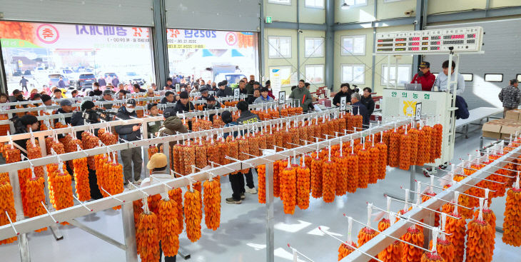 명품 함양곶감 초매식